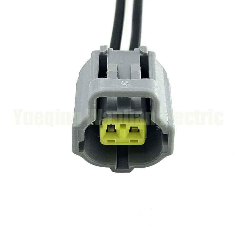 2 Pin 184006-1 178392-4 90980-10737 auto connettore impermeabile spina di raffreddamento Sensore di temperatura Socket Connector